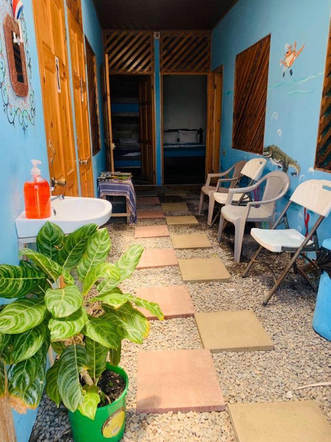 Hostel Tortuguero 7Backpackers Zewnętrze zdjęcie
