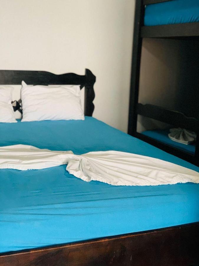 Hostel Tortuguero 7Backpackers Zewnętrze zdjęcie