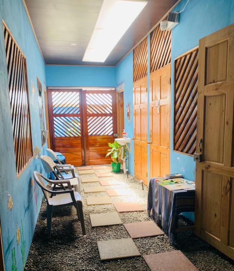 Hostel Tortuguero 7Backpackers Zewnętrze zdjęcie