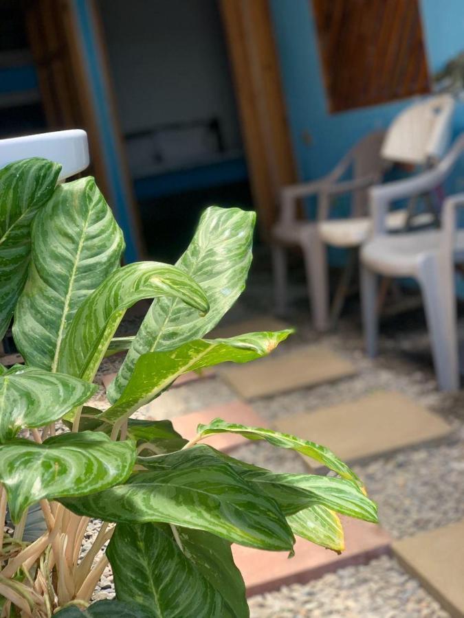 Hostel Tortuguero 7Backpackers Zewnętrze zdjęcie