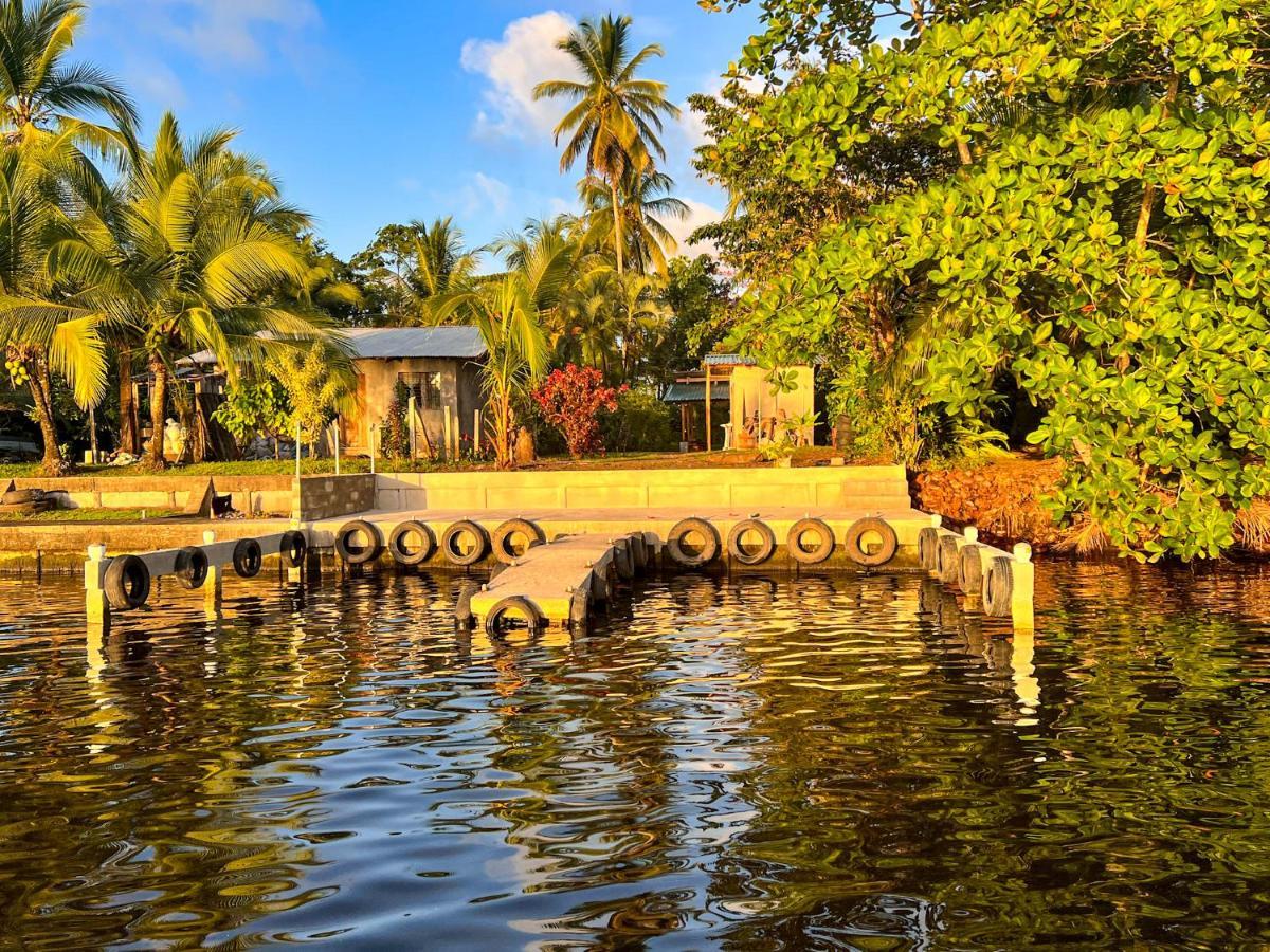 Hostel Tortuguero 7Backpackers Zewnętrze zdjęcie
