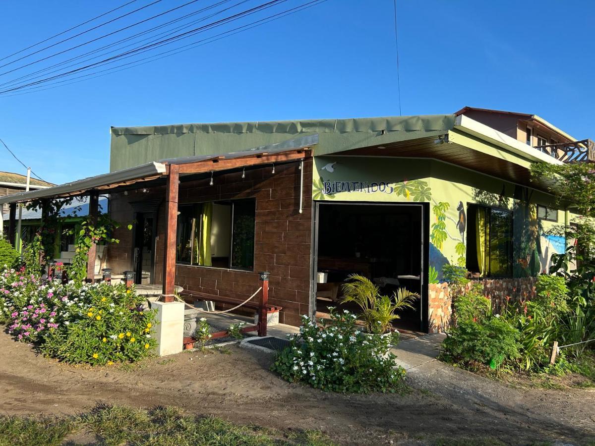 Hostel Tortuguero 7Backpackers Zewnętrze zdjęcie