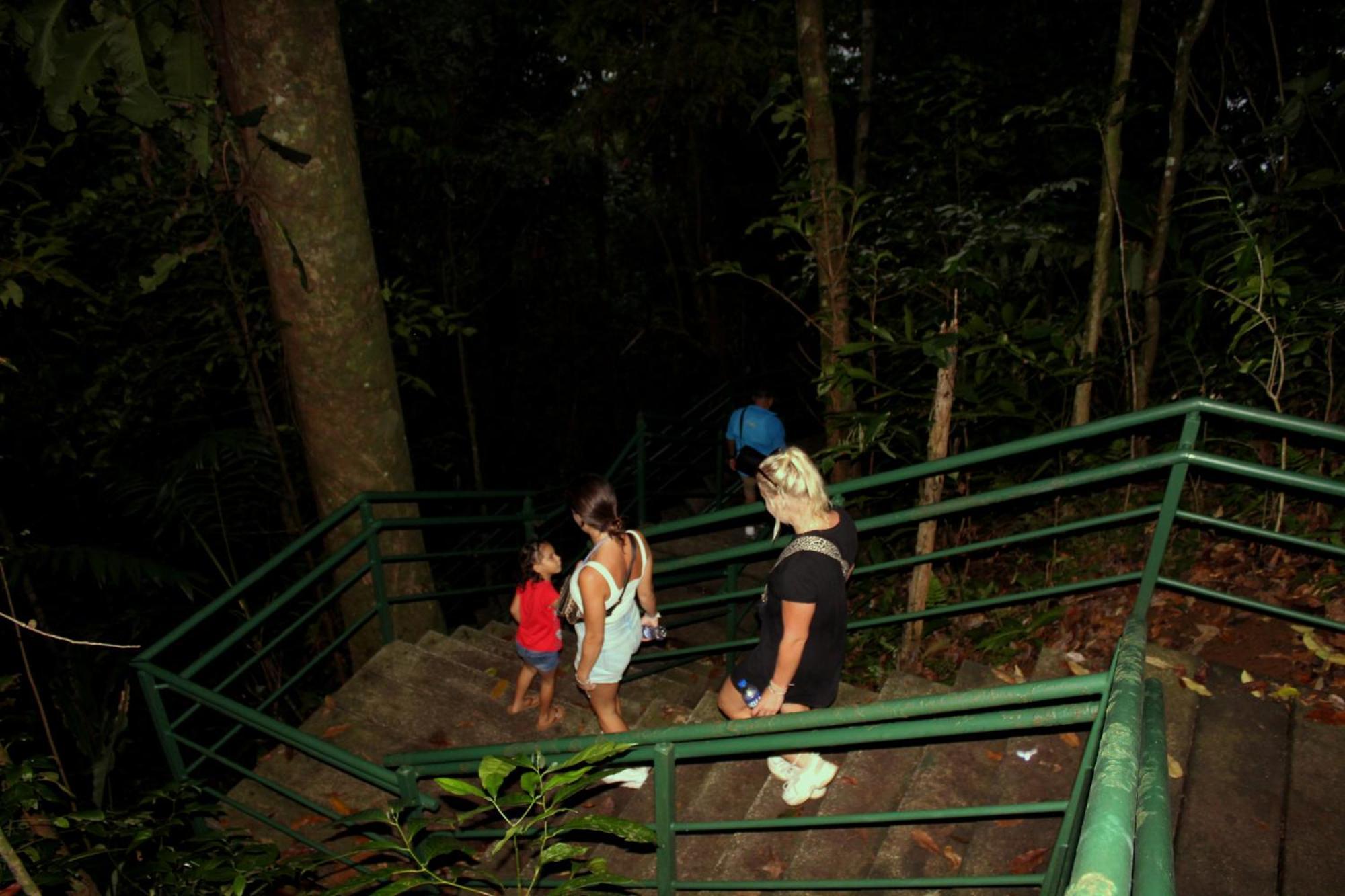 Hostel Tortuguero 7Backpackers Zewnętrze zdjęcie